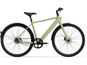 The Lightweight Champion